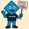 MULTIGURA მზადაა, რომ WooCommerce გახადოს მრავალენოვანი და ამავდროულად შეინარჩუნოს წარმადობა
